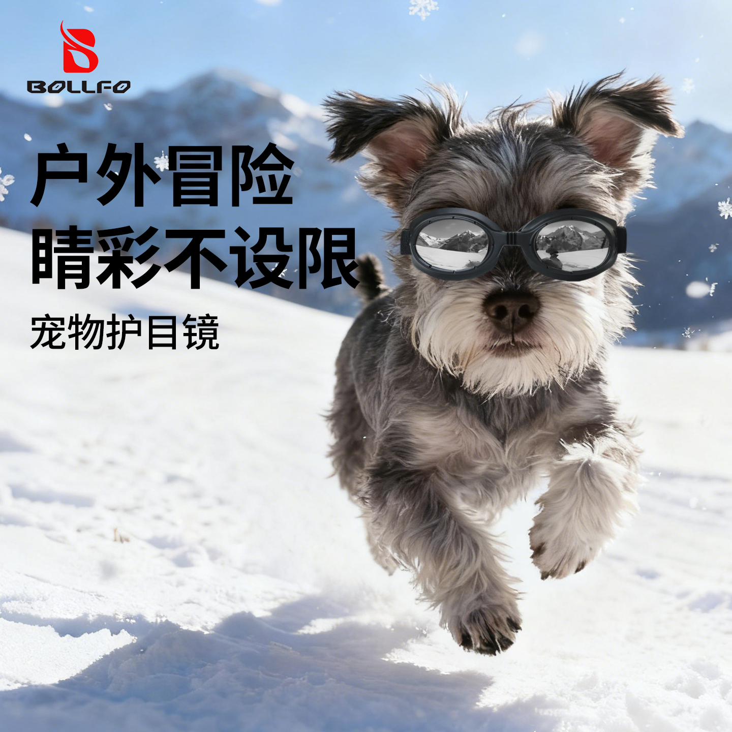 小狗狗墨镜秋冬防风沙紫外线宠物眼镜护目镜泰迪柯基博美小型犬镜,宠物/宠物食品及用品,宠物眼镜/护目镜,淘宝优惠券,粉丝福利购,淘宝优惠卷