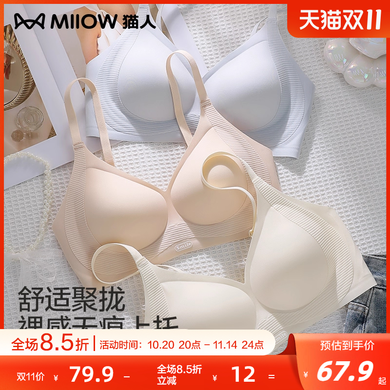 猫人无钢圈小胸聚拢上托文胸