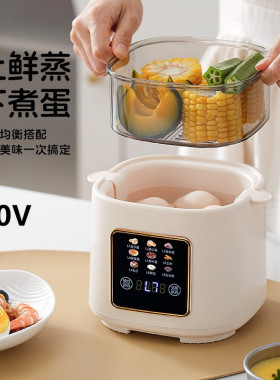 美规110V多功能早餐机自动蒸煮