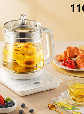 跨镜出口110V养生壶恒温煮茶器