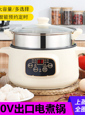 跨境110V蒸锅煮饭煲汤火锅微电脑