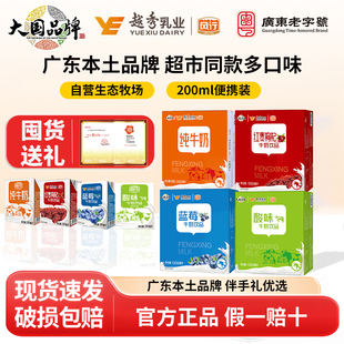 【年货送礼】风行牛奶纯牛奶/蓝莓/红枣囤货装节日送礼饮料旗舰