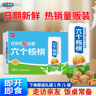 六个核桃精制型核桃乳240ml官方旗舰店授权正品 植物蛋白饮品整箱