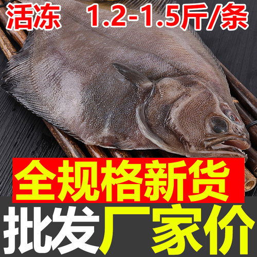深海偏口鱼黄金鲽鱼扁鱼