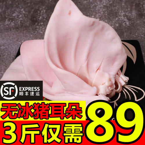 新鲜有根猪耳朵特大号顺丰包邮