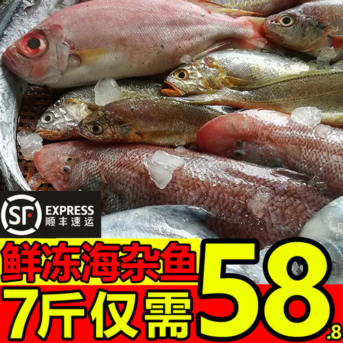 7斤海杂鱼新鲜海鱼冷冻顺丰包邮