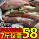 海杂鱼带鱼鲳鱼小黄鱼新鲜冷冻海鲜龙利鱼海鳗鱼米鱼马鲛鱼整箱