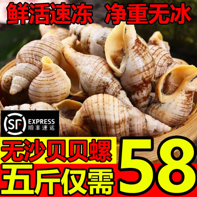 5斤贝贝螺冷冻顺丰包邮