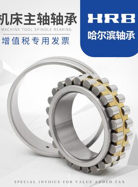 HRB哈尔滨轴承 精密主轴轴承 NN3028 KP4W33 C3182128K 轴承