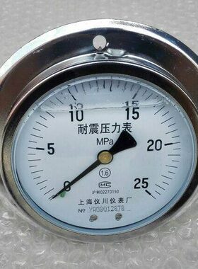 耐震压力表 轴向 YN100ZT 压力025mpa 直径100mm 螺纹m20x15