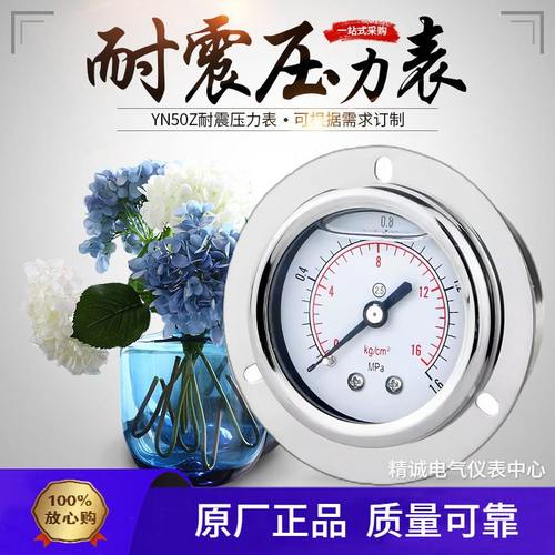 YN50ZT耐震压力表轴向带边油表气压表面板式 M1415 14 圣迪