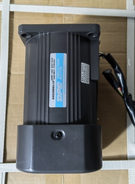 东邦微型齿轮减速电机6IK200RGU-CF DPG单相交流220V定速小马达