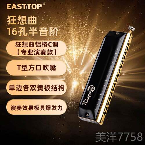 高档EASTTP东方16孔64生音半音O阶口琴狂想曲专业演奏学通用练鼎