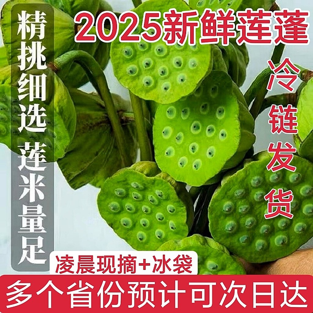 2026年莲蓬新鲜当季时令莲子米农家生吃现摘整箱甜嫩脆包邮