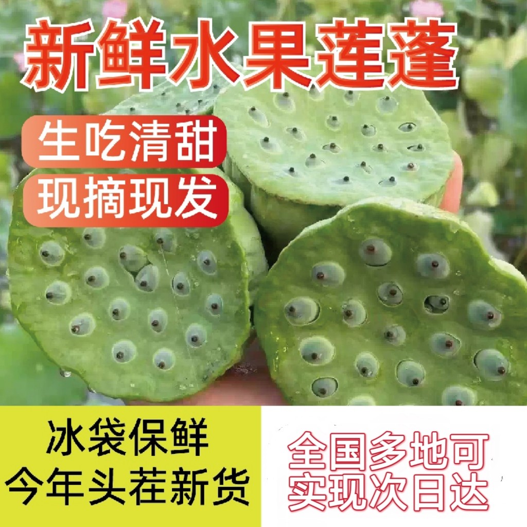 2026时令现摘甜嫩脆生吃莲蓬
