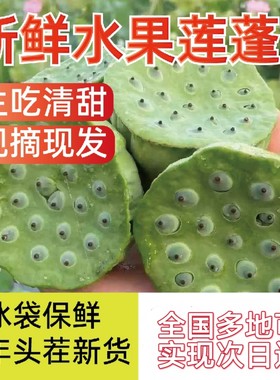 2026时令现摘甜嫩脆生吃莲蓬