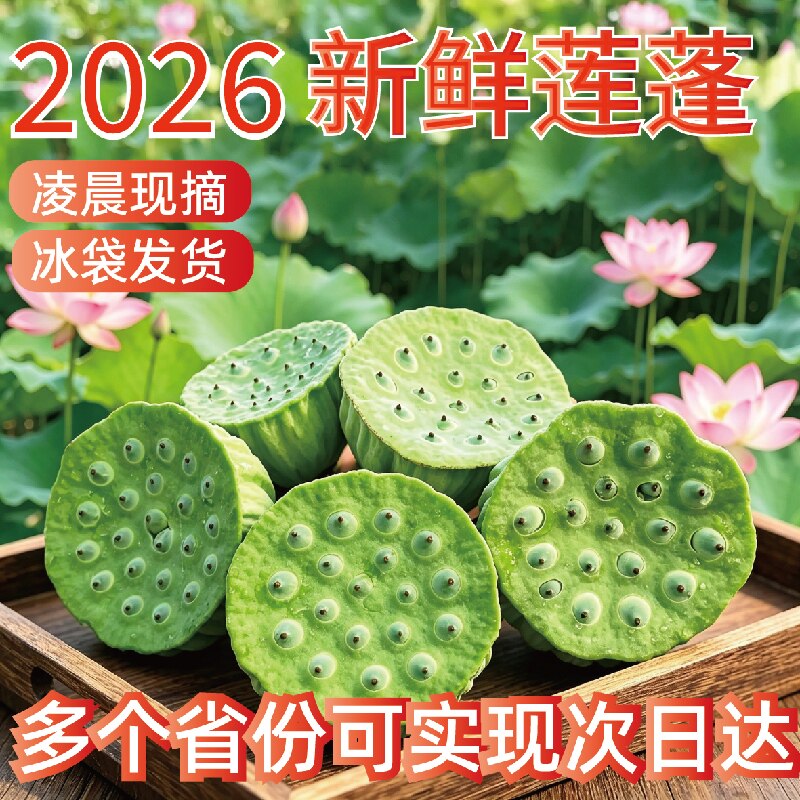2026年莲蓬新鲜当季时令莲子米农家生吃现摘整箱甜嫩脆包邮