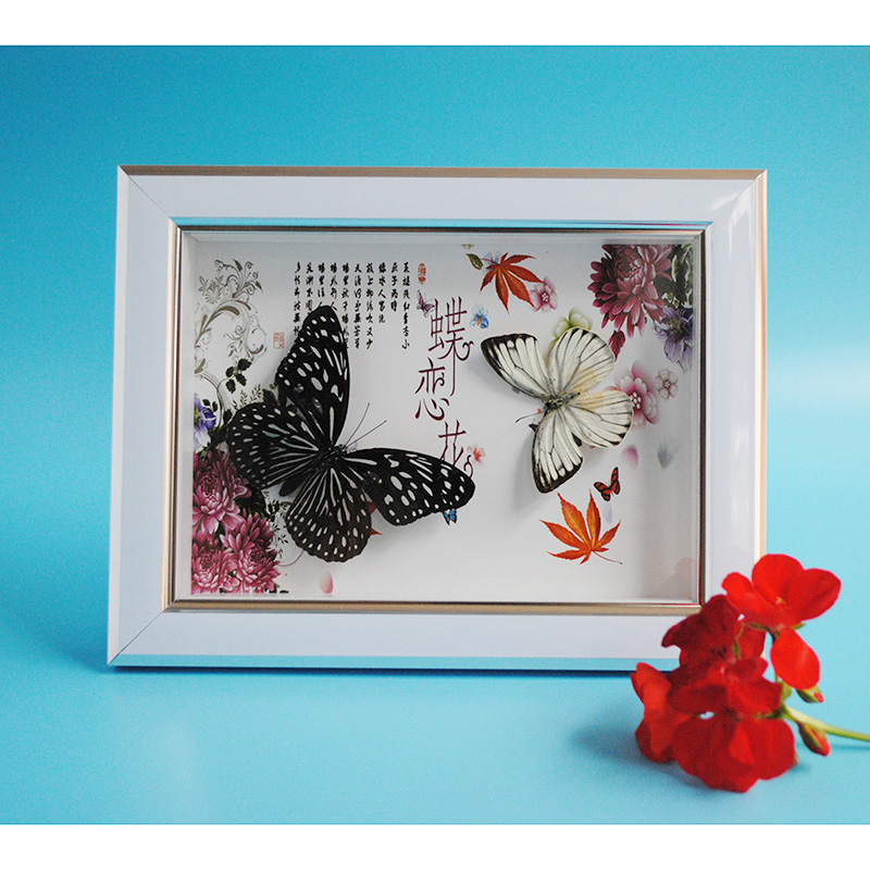 真蝴蝶标本装饰框儿童房摆件送朋友送同学特色礼品礼物客厅装饰|msdalam kategori Aksesori rumah, hiasan - dari Buy2taobao.com untuk memberikan perkhidmatan ejen Taobao profesional membeli