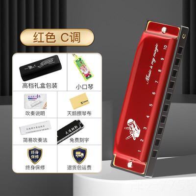 高档天鹅十孔布鲁斯口琴初正品10孔学者门蓝调儿童C调入专p业演奏