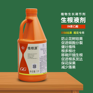 植根源萘乙酸浇灌促根多根壮移栽扦插专用女贞香樟打胎农药防结果