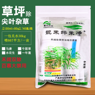 靓禾坪禾净黑麦草马尼拉草坪除马唐牛筋水花生禾本科草坪禾阔双杀