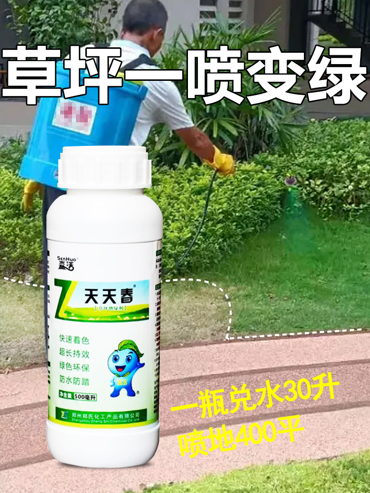 促销天天春草坪增绿剂快速着色染色剂休眠枯草工程验收瞬间环保一