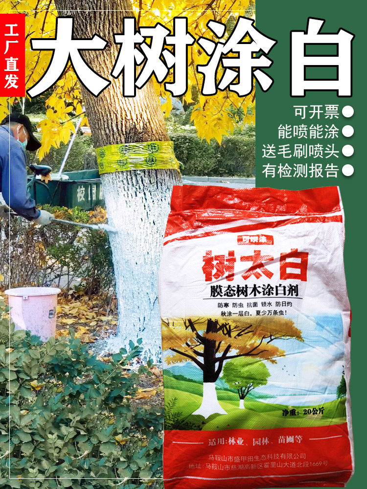 树太白果树干涂白剂大树涂白粉市政园林绿化刷白剂防虫杀菌白度高
