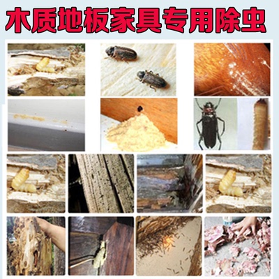 门板蛀木虫气雾杀虫剂木材蛀虫家具地板虫孔粉蠹虫床板白蚁喷杀剂