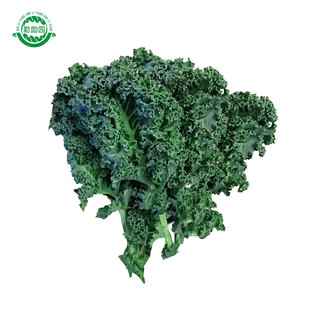 勤励园新鲜羽衣甘蓝1斤蔬菜kale健康食品西餐沙拉配菜食材榨汁用