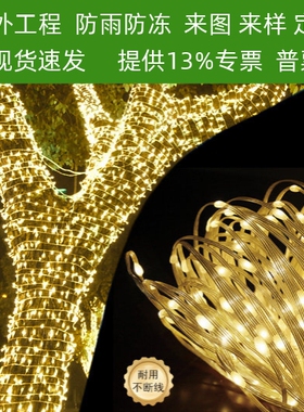 彩灯闪灯灯串满天星太阳能节日装饰户外低压绕树阳台庭院氛围树灯