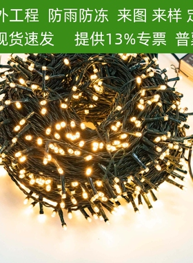 圣诞树灯led小彩灯闪灯串灯圣诞节装饰插电墨绿线户外防水灯串灯