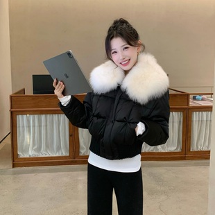 90白鸭绒大狐狸毛领保暖羽绒服 冬季 陈六六CHENLIULIU 冰岛之恋