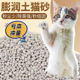 特价猫砂包邮20公斤除臭结团低尘100斤囤货装膨润土40斤猫咪用品