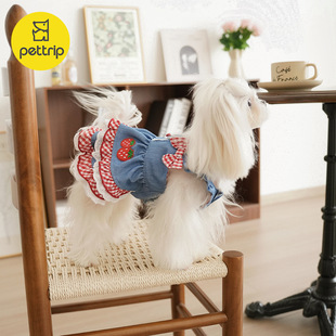 潮流春夏日韩风洛丽塔狗衣服宠物衣服小狗裙子马尔济斯约克夏博美