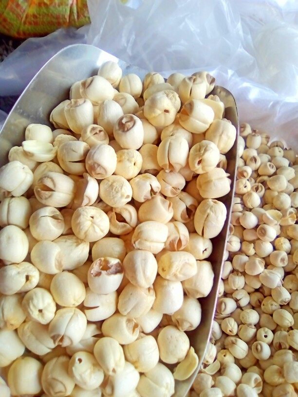 25年新莲子农特产白莲子黄泥莲子散装500g香甜糯极烂降温降热