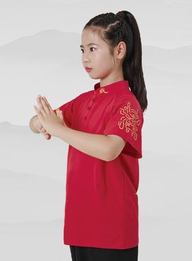 冰丝龙纹新中式立领儿童武术服表演T恤男训练服女练功服短袖定制
