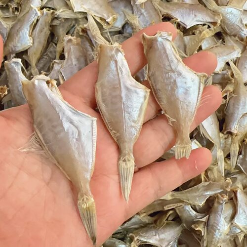 汕尾特产微咸迪仔鱼迪仔脯扒皮鱼干自然风干 咸香有嚼劲 500克/包
