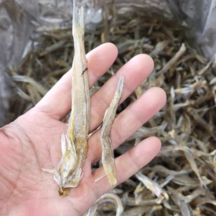 汕尾本港咸货小那哥鱼干小海乌鱼干小海鸥鱼干 500克