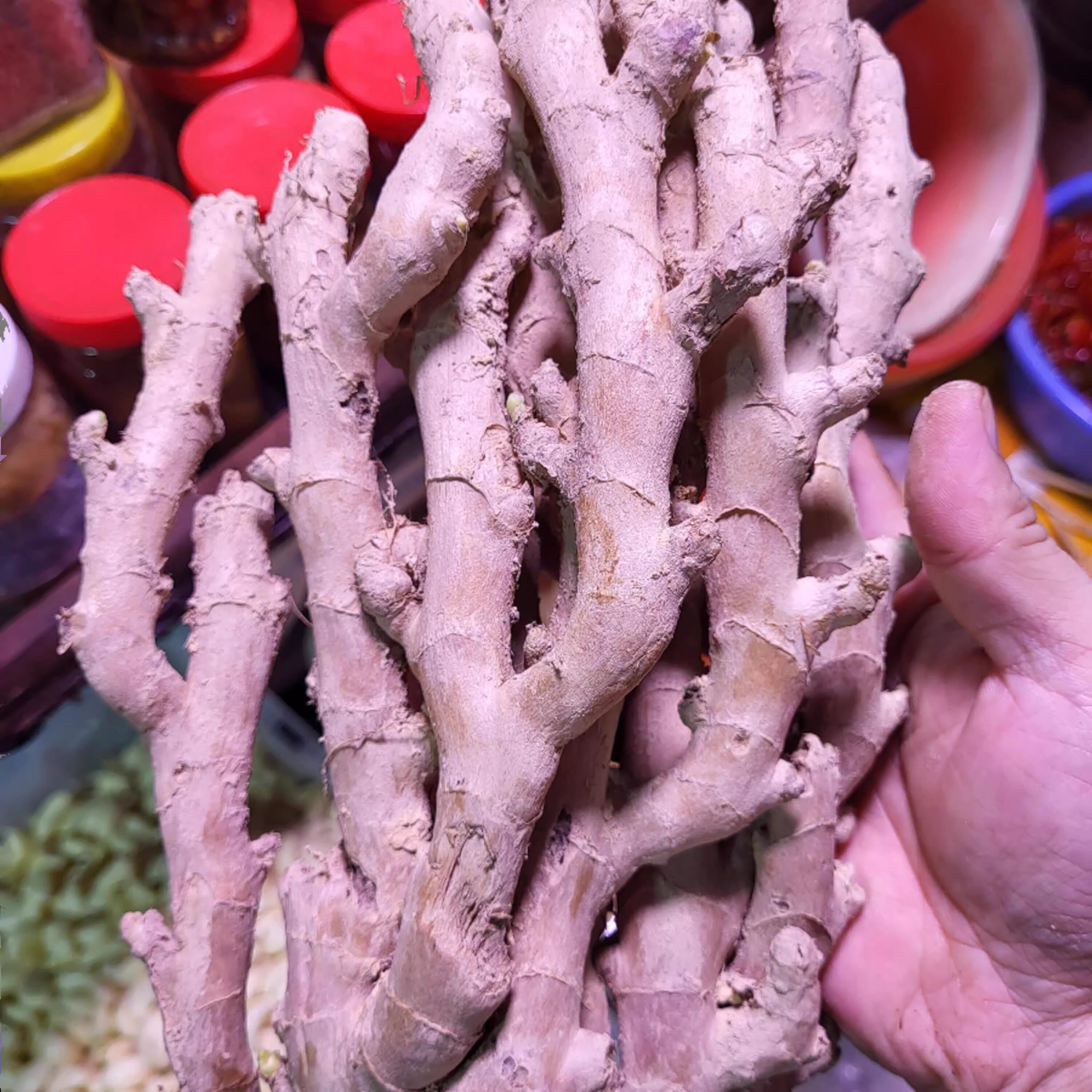 汕尾海丰竹姜老姜黄姜产妇孕妇坐月子宝妈食用姜 500克