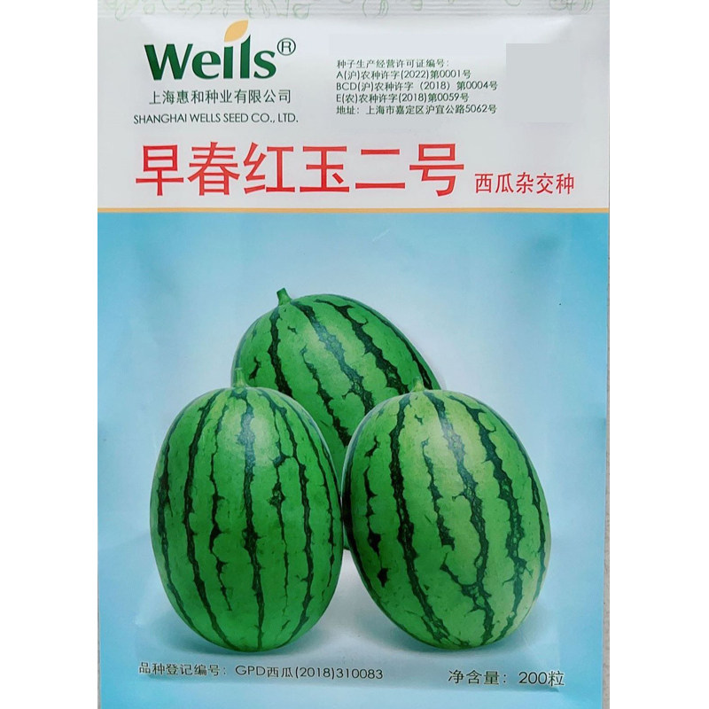 早春红玉西瓜种子日本进口水果四季瓜种籽春季南方西瓜种籽苗秧2k
