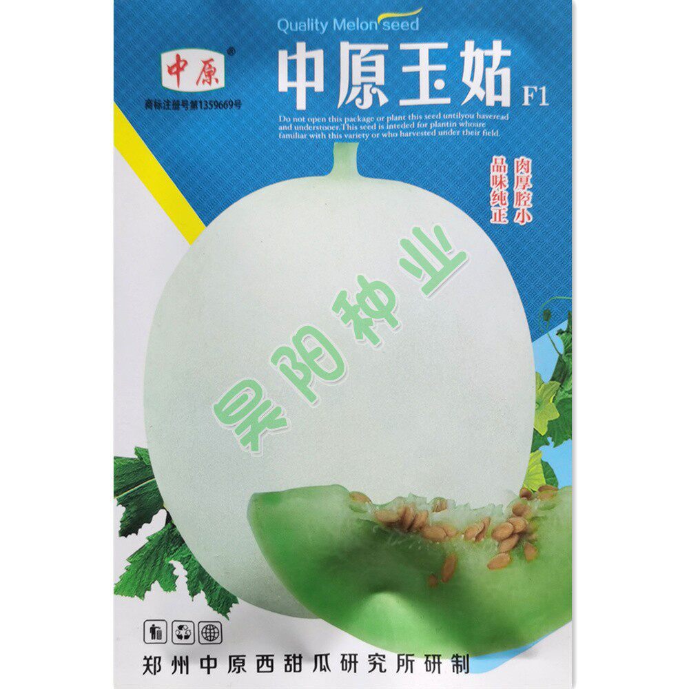 中原玉姑f1甜瓜种子 超甜高产耐裂玉菇香瓜种籽 大田基地水果种孑