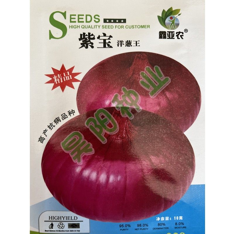 红皮洋葱种子高圆扁圆洋葱种籽