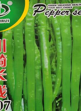 线椒种子杂交早熟青果浅绿色香辣抗逆大棚大田基地高产辣椒种籽苗