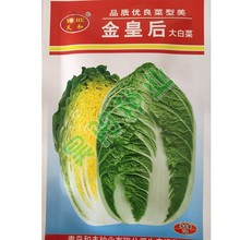 义和金皇后黄心白菜种子娃娃菜病早熟大白菜种籽秋季蔬菜种子