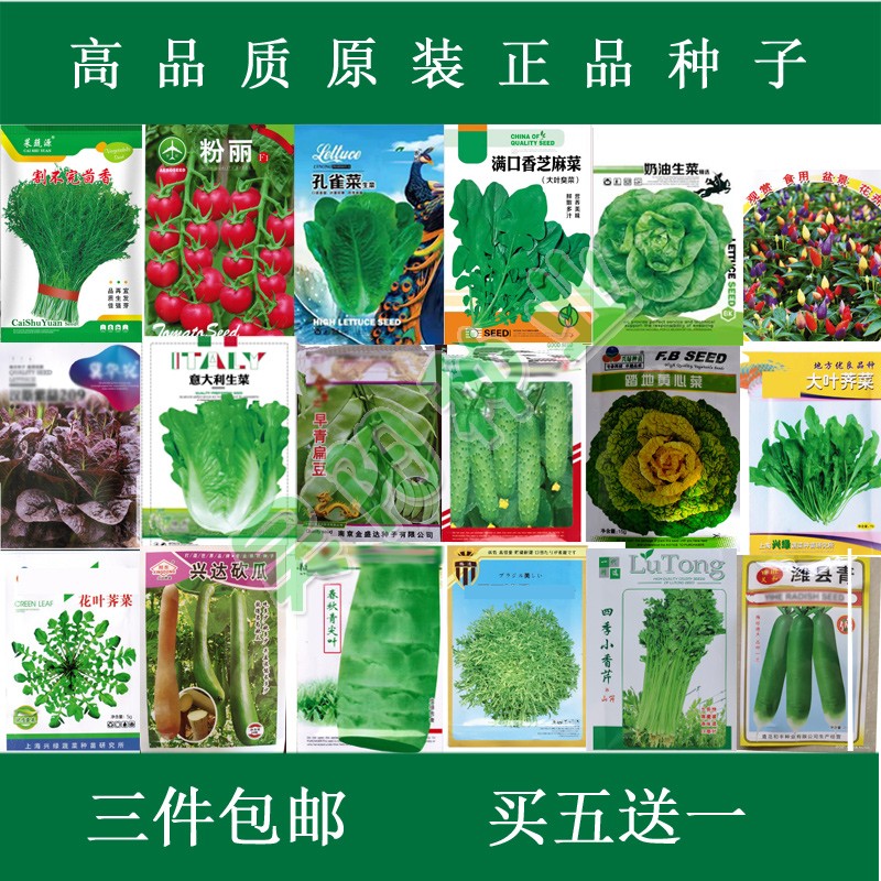 蔬菜种子四季春秋播阳台家庭菜园艺盆栽辣椒番茄生菜菠菜香菜种孑