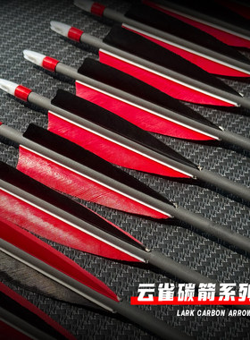 精选云雀真羽6.2碳素箭