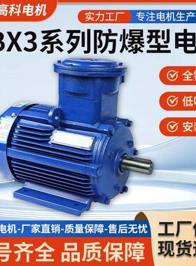 YBX3立式防爆电机bt4国标纯铜芯隔爆型F级异步电动机三相380v
