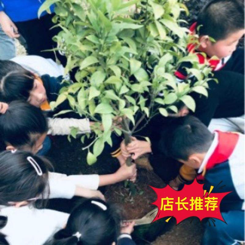 不锈钢储物桶空桶304储油罐泡酒桶茶叶牛奶运输桶装密封油桶
