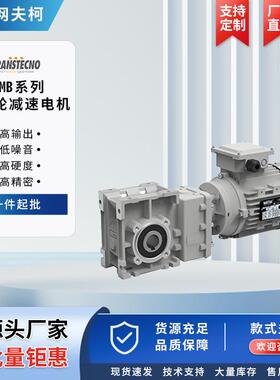 CMB系列伞齿轮减速电机