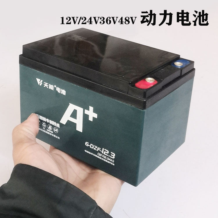 可充电池12V24V大容量大电流电动车铅酸蓄锂动力开关电源逆变器图片